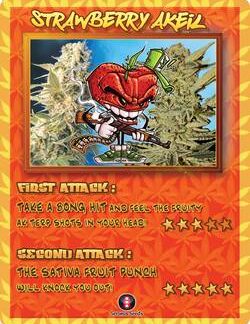 Strawberry Akeil