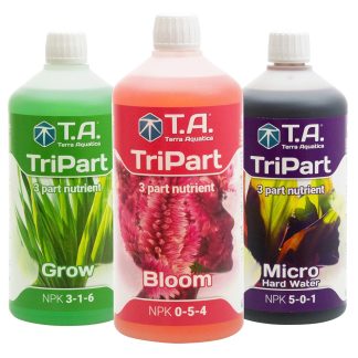 GHE-T.A. Tripart Bloom
