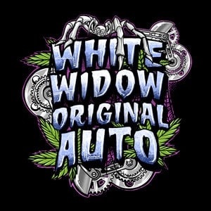 White Widow Orginal AUTO