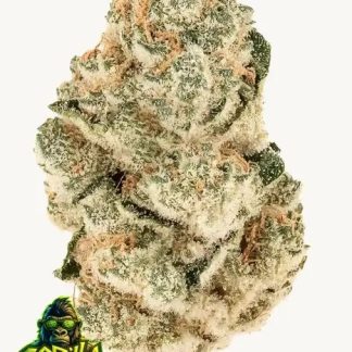 Gorilla Melon PHOTOPERIOD