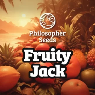 Branding image for Fruity Jack by Philosopher Seeds, with tropical fruits and a sunset background.