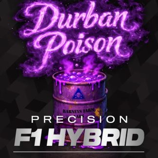 Durban Poison F1