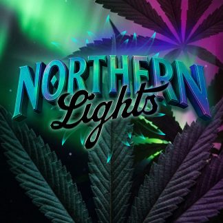 Northern Lights